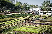 03 - DSCF0462 Une belle maison, un jardin Bio, c'est ici que l'on nous amène pour notre cours de cuisine