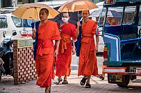 02 - DSCF9675 (2) null