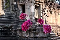 10 - DSCF8109