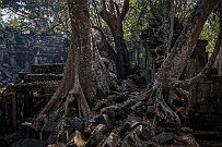 10 - DSCF7623