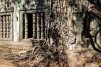 10 - DSCF7660