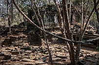 10 - DSCF7702