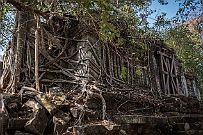 10 - DSCF7717