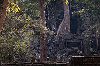 10 - DSCF7774