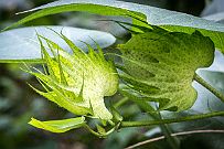 01 - DSCF9366