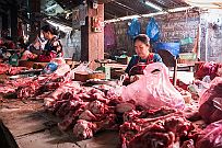 03 - DSCF0449 (2) null