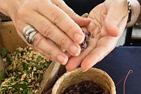 03 - DSCF0763 (2) null