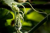 03 - DSCF0793 (2) null