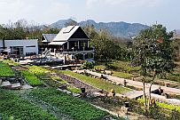 03 - DSCF0800 (2) null