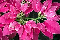 01 - DSCF9452