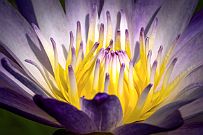 02 - DSCF9847