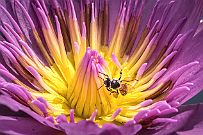 02 - DSCF9852