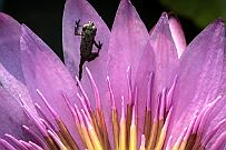 02 - DSCF9860