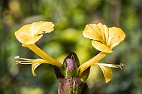 03 - DSCF0281