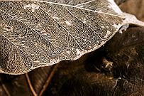 03 - DSCF0286 (2)