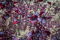 05 - DSCF1025