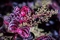 05 - DSCF1030
