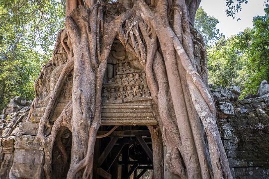 Ta Som & Mebon