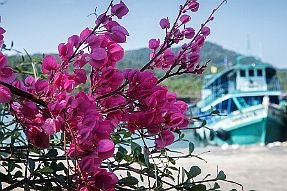 13 - DSCF0283 null