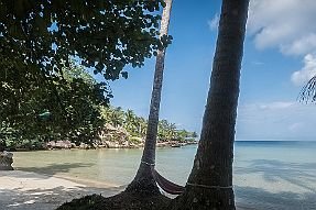13 - DSCF0365 null