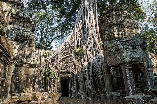 Cambodge Cambodge