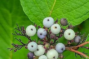 20260821_111015 null