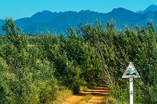 MAD00772 On reprend la piste et sommes surpris par les panneaux disséminés au hasard : Tiens, prends ce lot de panneaux et va les planter où tu veux !