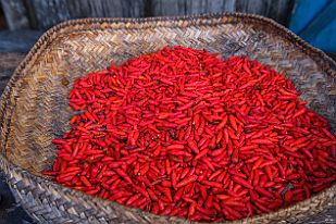 MAD31095 On adore. La couleur. Pas le goût, le palais est détruit avant ! Enfin, nos palais fragiles de vazahas.