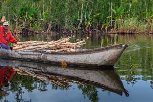 MAD00889 -Hop la, Vazahas ! Bonjour -Et bien le bonjour à vous aussi !