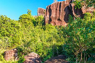 MAD01330 Rando des garçons avec Vincent et un guide.
