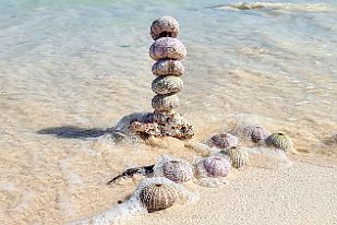 20250607_111654 J'ai essayé de ranger le désordre. Faut bien que qq'un le fasse quoi !