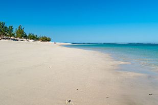 MAD09125-2 Allons vers le Sud.