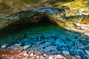 MAD31375 Des poissons sans yeux s'y sont adaptés.