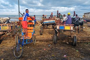 MAD31767 Taxis adaptés à l'environnement ;)