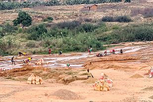 20250612_144958 Dans la vile non photographiée des box-banques ressemblants à des cellules hébergent ceux achètent. Des barreaux protègent les acheteurs (tous des étrangers).