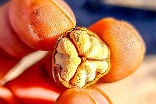 20250614_100310 Interlude nutritif