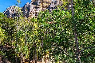 MAD32221 C'est dingue. Quel cadeau !!