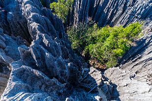 MAD33027 On vient d'en bas (d'un autre côté on ne peut pas arriver du ciel).