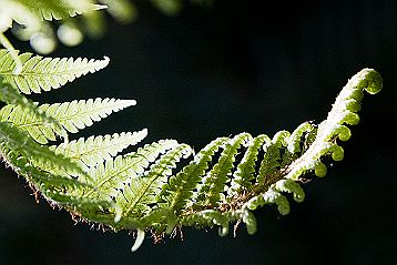 Vidéos Liens divers