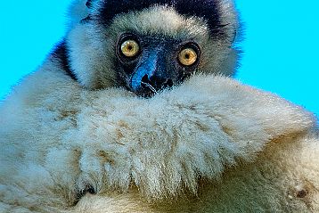 Fort-Dauphin Ambovombe