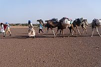 Maroc_desert_219