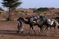 Maroc_desert_223