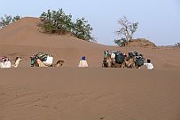 Maroc_desert_226