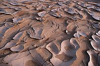 Maroc_desert_232