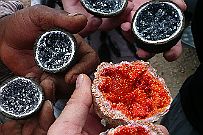 Maroc_desert_015