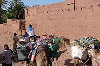 Maroc_desert_346
