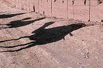 Maroc_desert_347
