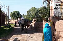 Maroc_desert_348