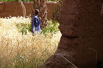 Maroc_desert_101