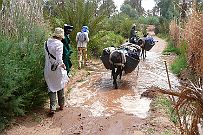 Maroc_desert_113